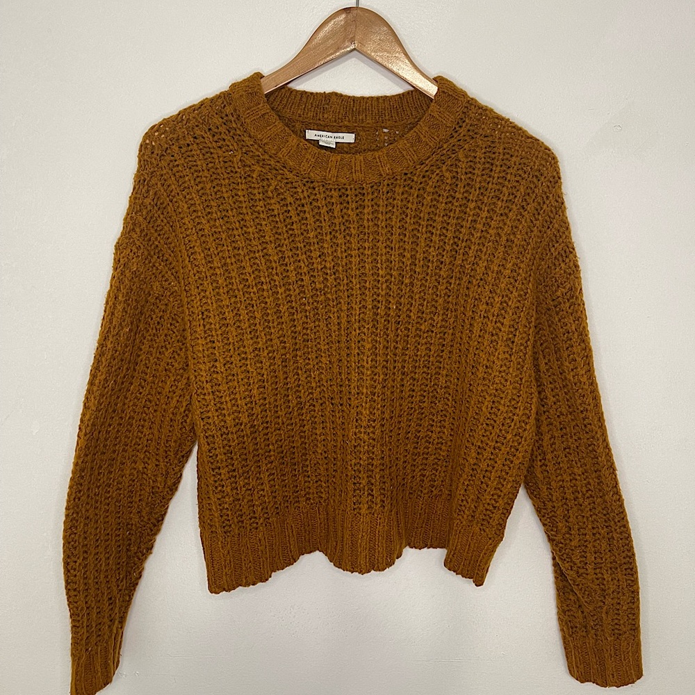 American Eagle Cropped Sweater
